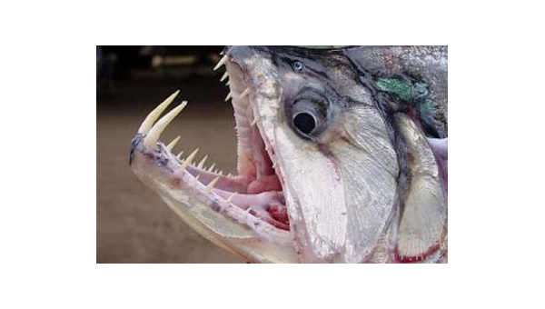 厨房里十大危险操作警示,速发云资源网