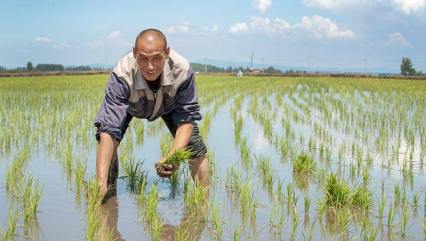 十大时尚品牌的可持续发展之路,速发云资源网