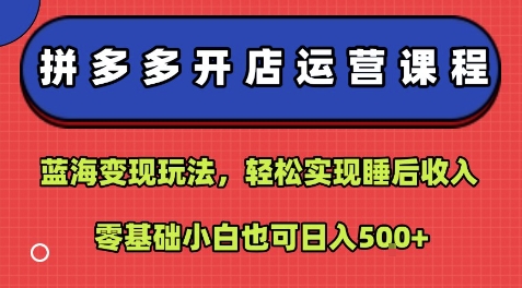 拼多多开店运营课程：蓝海变现玩法，轻松实现睡后收入，零基础小白也可日入5张,速发云资源网
