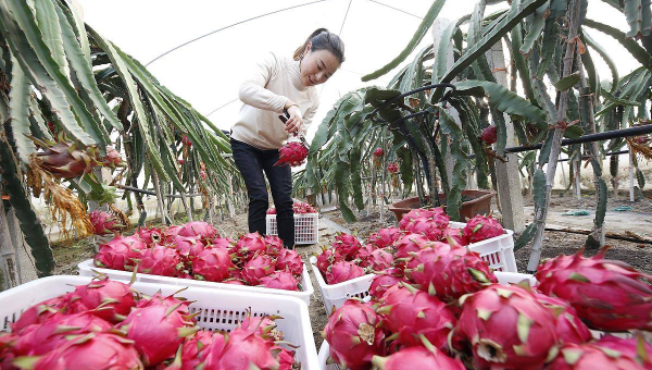 梦到在梦境中身体能像水一样流动,速发云资源网