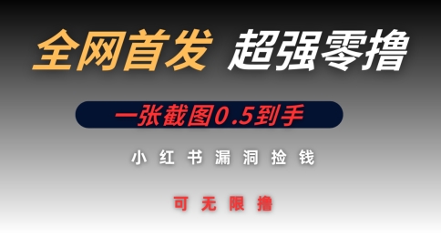 全网首发无限零撸捡钱项目，小红书一张截图0.5元可无限零撸,速发云资源网
