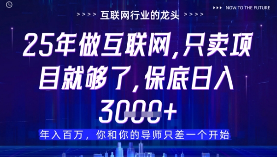 什么！25年你还在找项目做？风口早就变了，卖项目才是稳挣不赔【揭秘】,速发云资源网