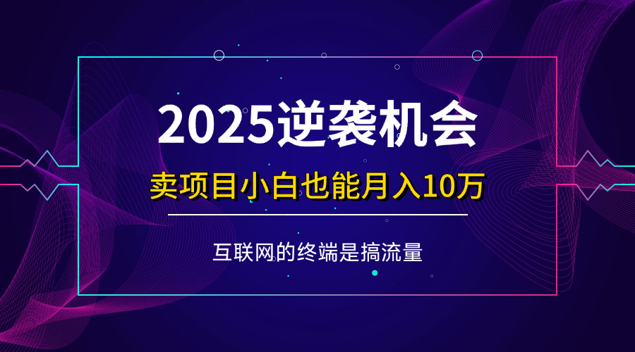 （14122期）项目标题：2025逆袭机会，卖项目小白也能轻松月入10万+,速发云资源网
