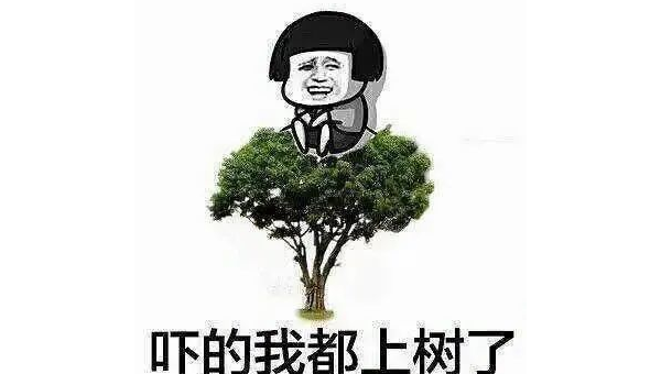 如何在 Linux 下安装和使用 SoX 进行音频处理,速发云资源网