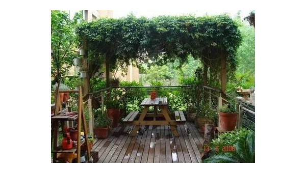 院子里搭葡萄架下安秋千风水好吗,速发云资源网