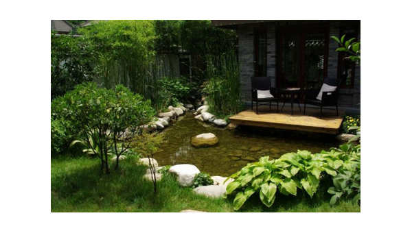 院子里种芙蓉花风水怎样,速发云资源网