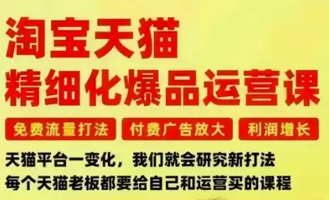 淘宝天猫精细化爆品运营课，免费流量打法-付费广告放大-利润增长-三大核心痛点，一次全部解决,速发云资源网
