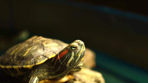 怎么删除linux 乱码文件夹,速发云资源网