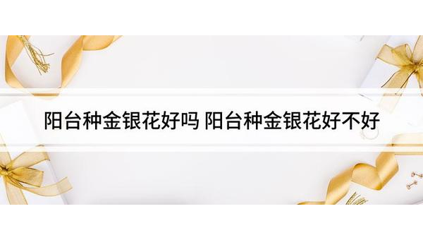 阳台种金银花风水好吗,速发云资源网
