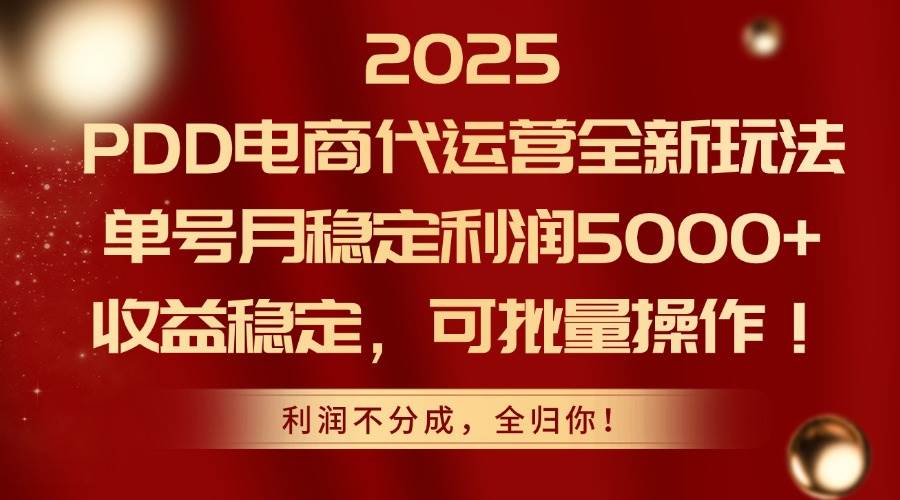 （14839期）2025PDD电商代运营全新玩法，单号月稳定利润5000+，收益稳定，可批量操作,速发云资源网