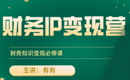 有有老师·财务IP变现营，财务知识变现必修课,速发云资源网