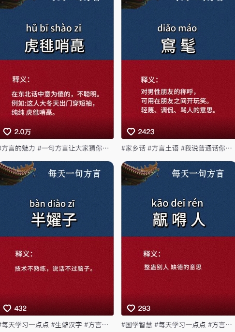 抖音最新涨粉玩法，图文方言暴力涨粉实操，126作品涨粉11W,速发云资源网